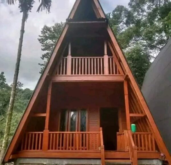 Rumah Segitiga: Inovasi dalam Arsitektur dengan Desain Fungsional dan Menawan - Gambar 10